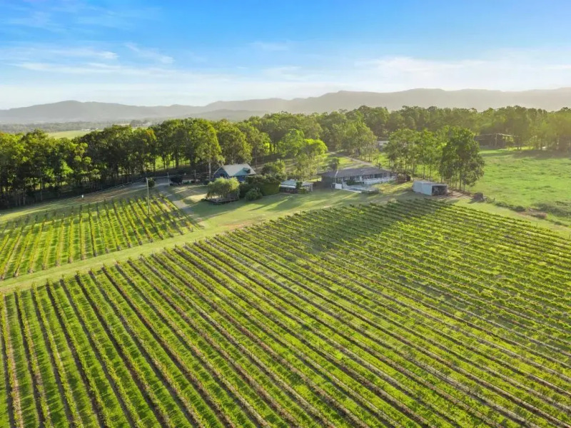 Palmers Lane On Vineyard Homestead with Pool offers a large 5br home and 2br cottage formerly Gemelli