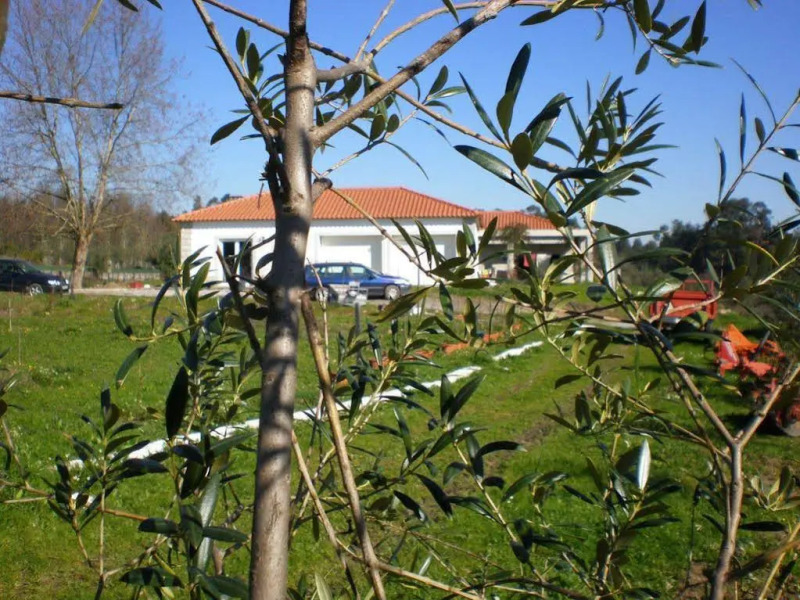 Casa do Linhar - Quintas de Sirlyn