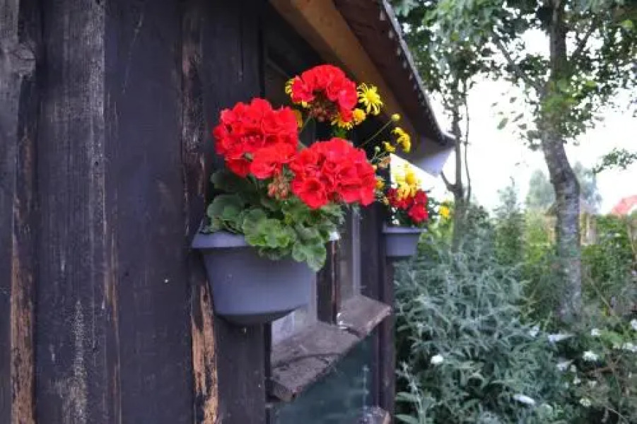 B&B De Vennesik Rijssen, Overijssel