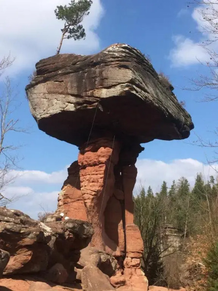 Ferienwohnung am Waldrand