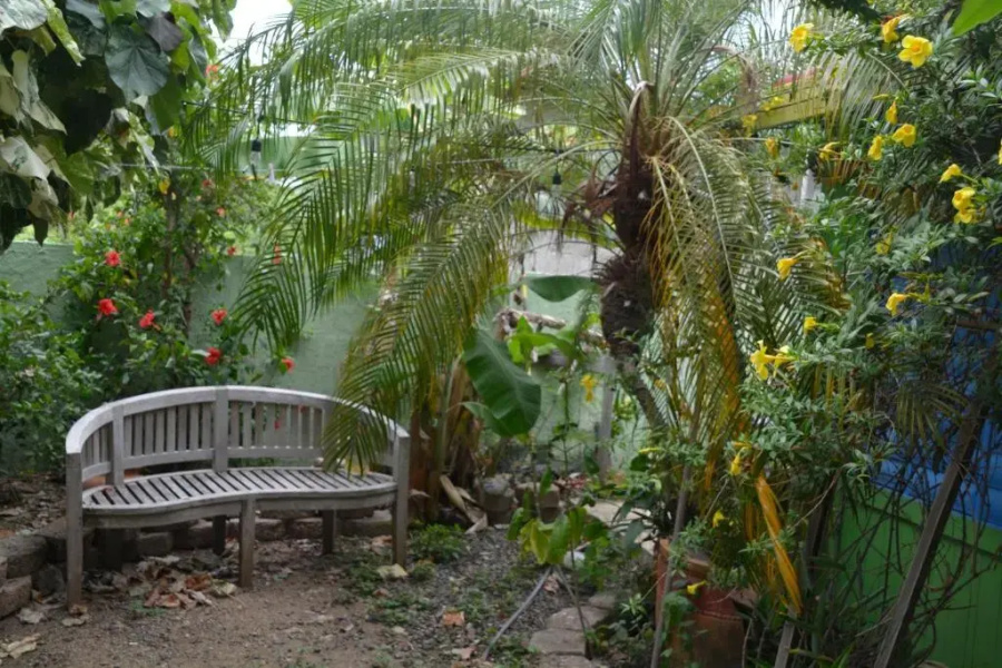 Palmetto Guesthouse