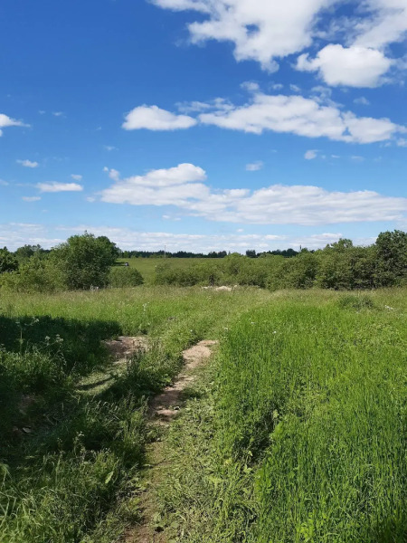 Guest House Izbushka