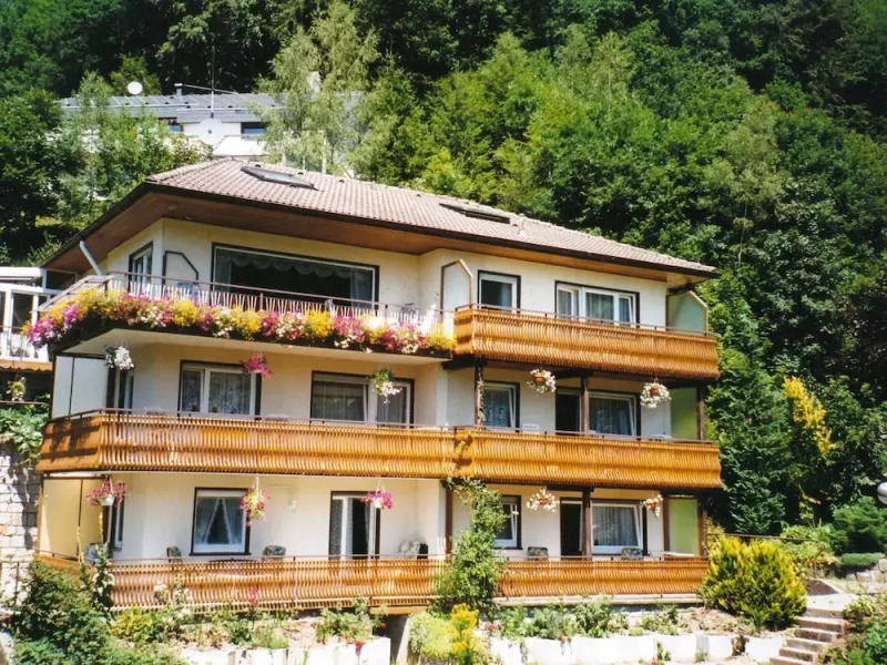 Modern Apartment in Bad Rippoldsau Near Town Center