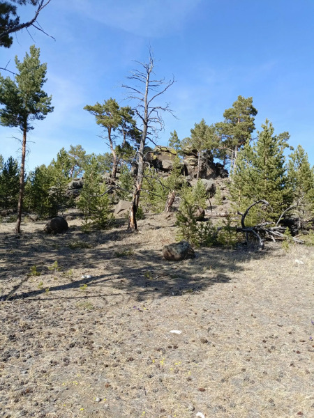 Дом на Центральной 19