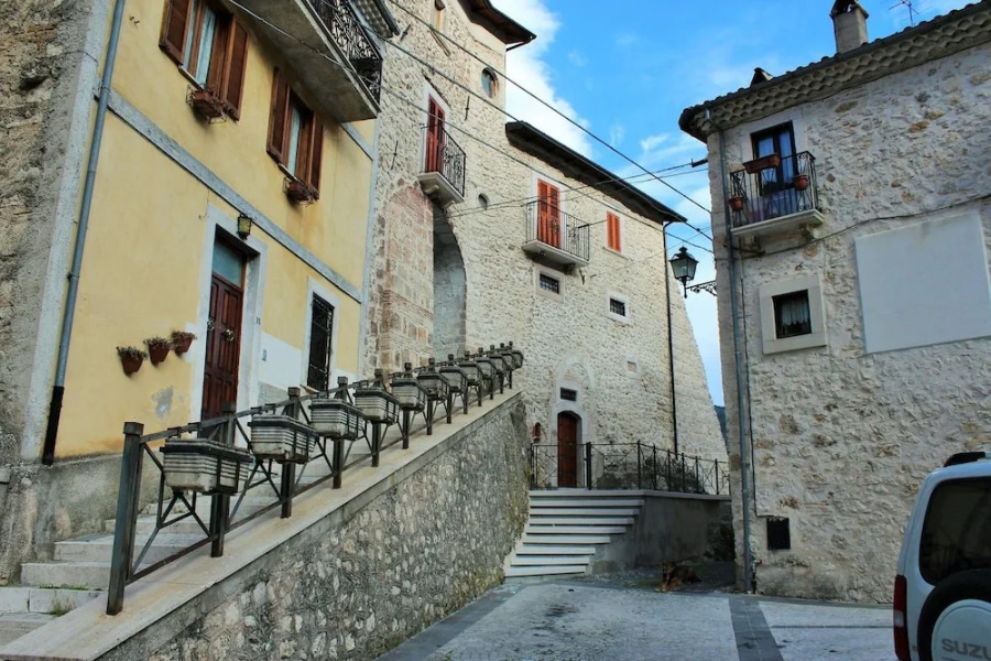 Volpe - Parco Nazionale d'Abruzzo