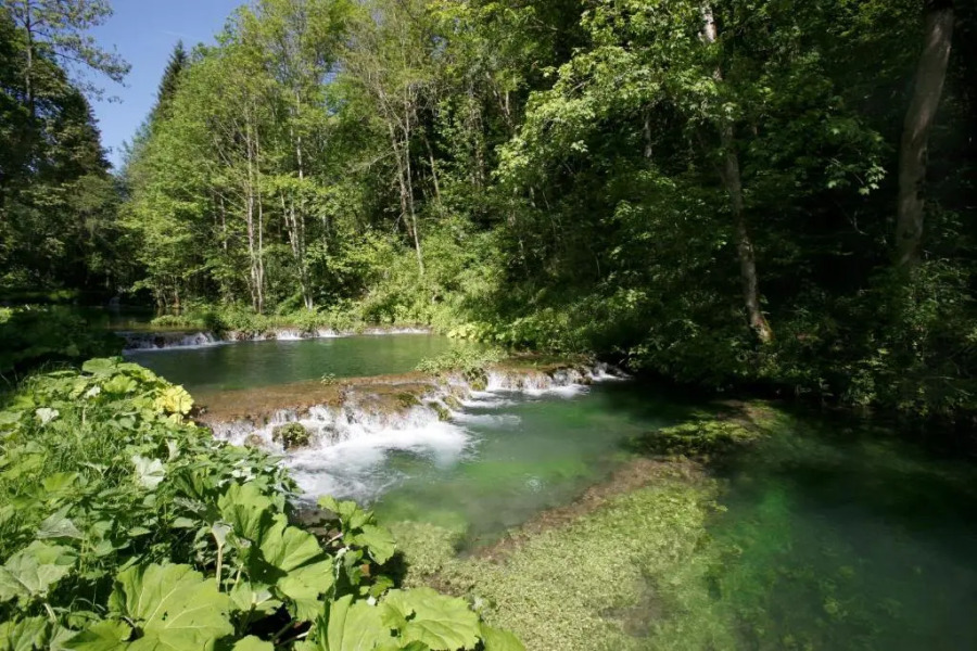 Ferienwohnungen Holder