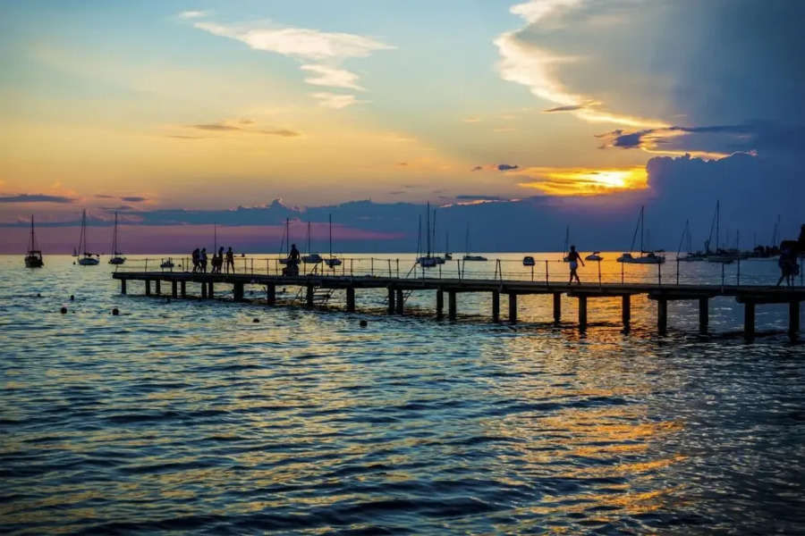 House In The Vineyards