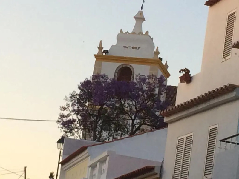 Alto Club Apartments