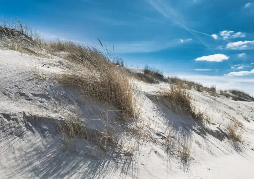 Weisse Düne - App.. 4