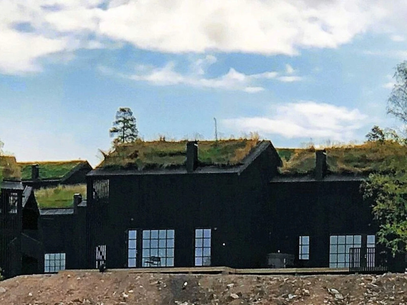 Holiday Home in Sälen