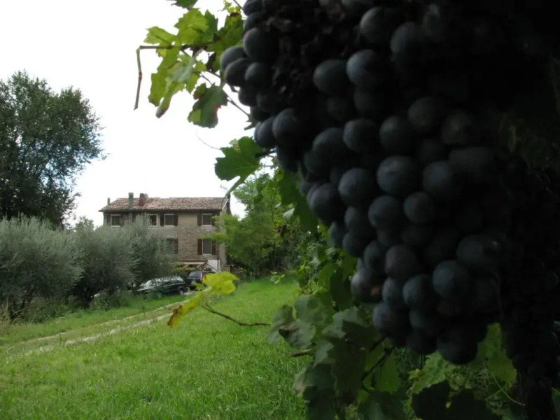 I Vigneti Bed & Breakfast