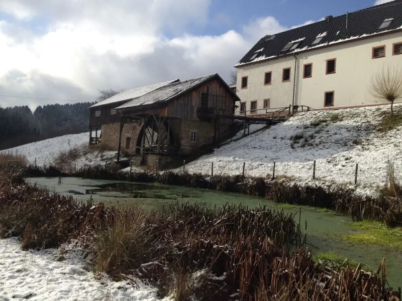 Comfortable Apartment in Meisburg Eifel near Watermill