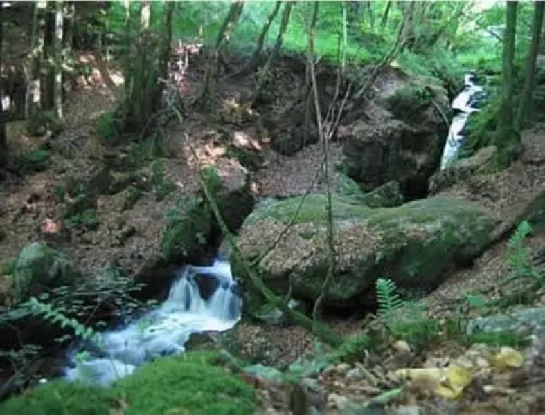 Auberge du Précontent