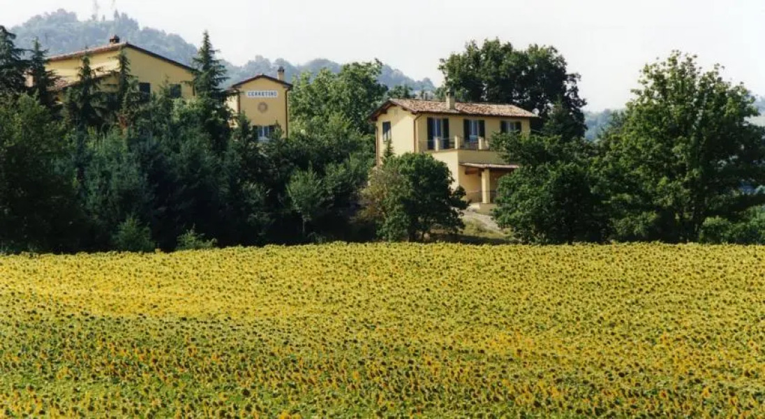 Fattoria del Cerretino