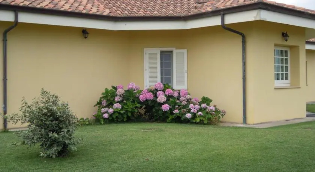 B&B The Country House