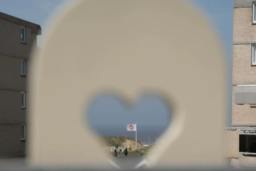 Отель The Bloom