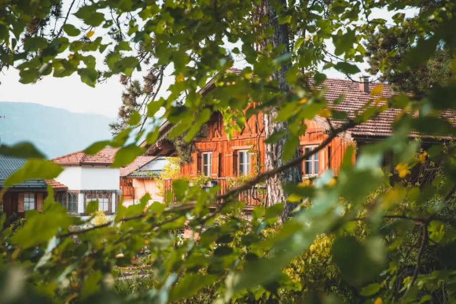 Pineta Hotels Nature Wellness Resort