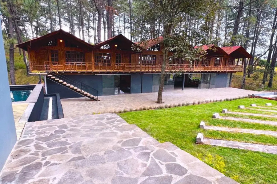 PINE TREE Hotel Boutique & Cabañas