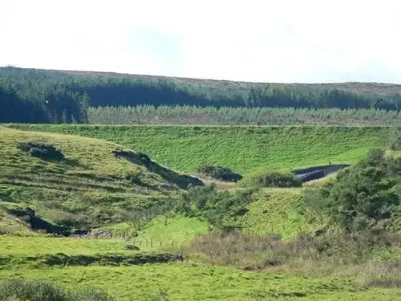 Carronbridge Guest House