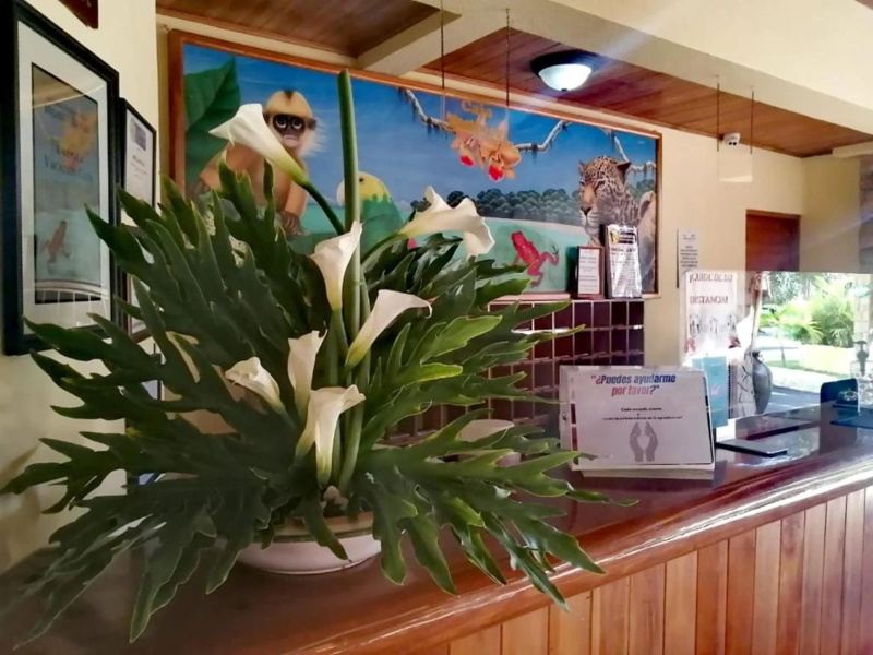 Hotel Amapola Resort