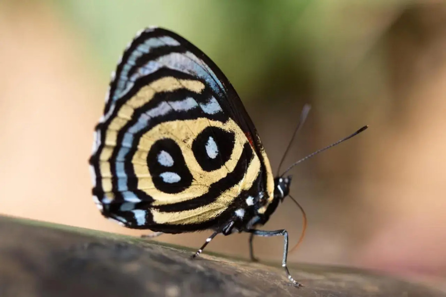 Posada Etnoturistica Achalay