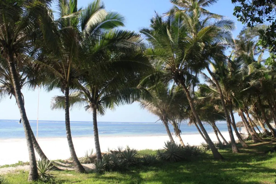 Diani Marine Divers Village