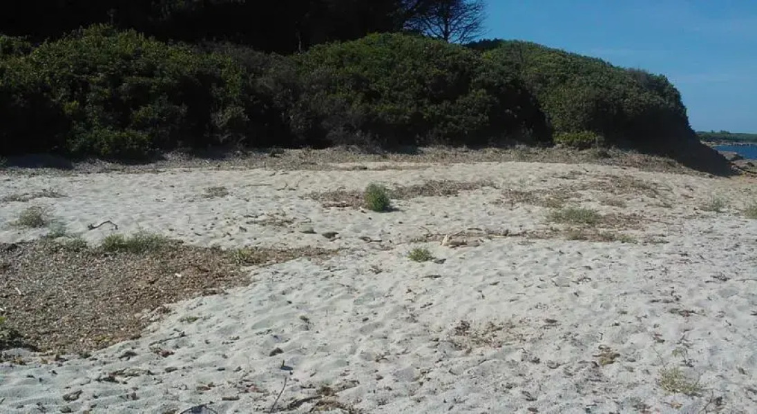 Sardinia Flower Villas