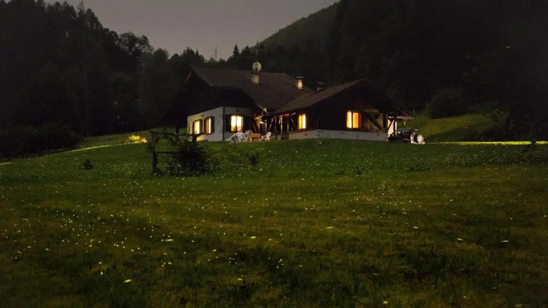 Bed and Breakfast Cappeler