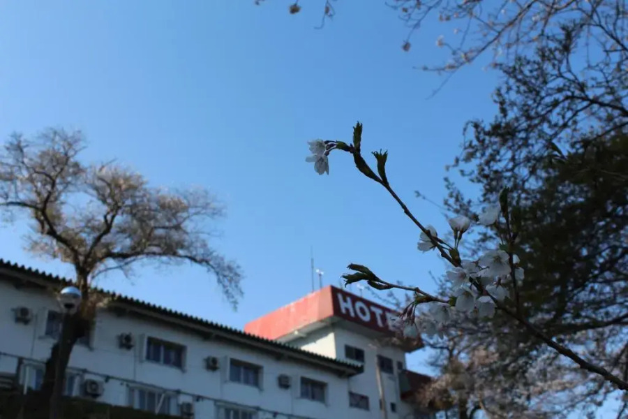 Hotel Le Mont (Adult Only)