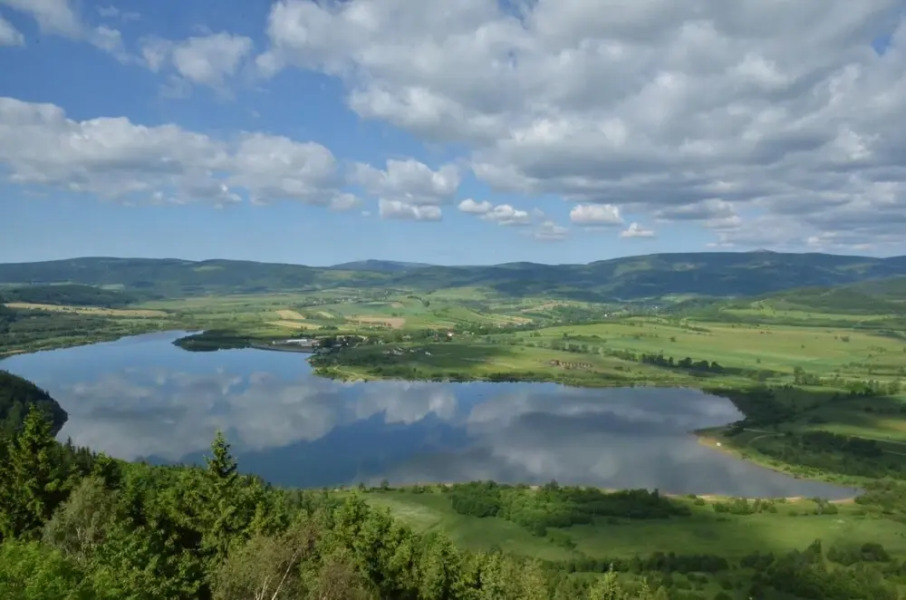 Zacler Kzf030 in acl r