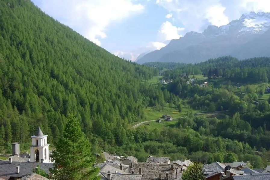 Residence Larice Bianco