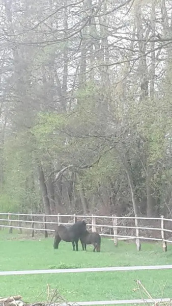 Münsterland Cottage