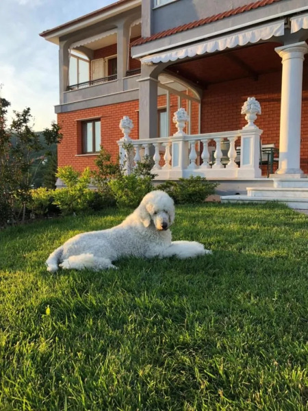 Locanda Costa Otto.Zero