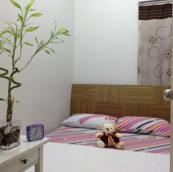 A&F Tropics Homestay