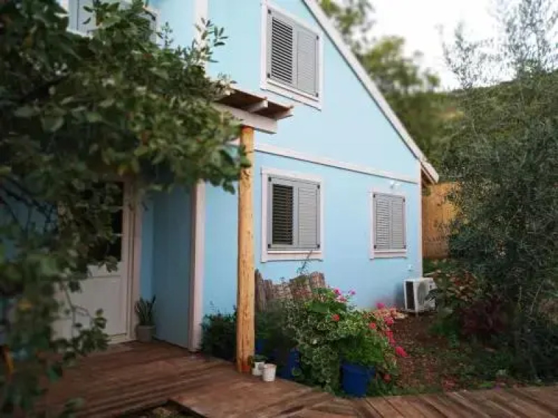 Blue House In The Woods- Amirim