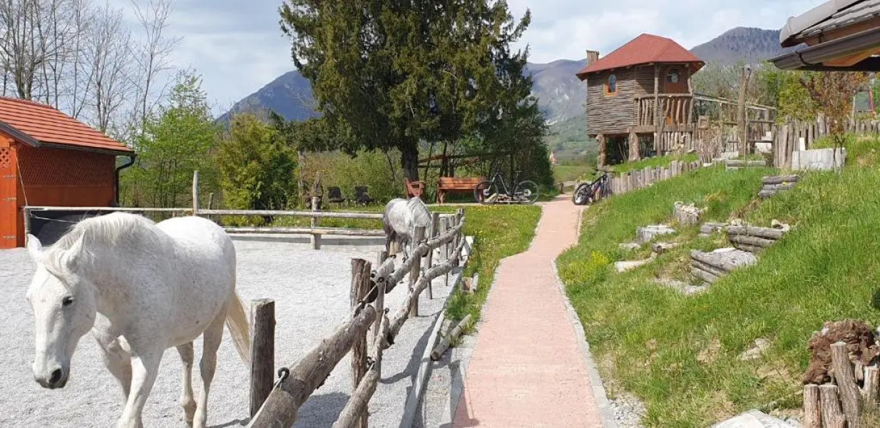 Lipizzaner Lodge Guest House