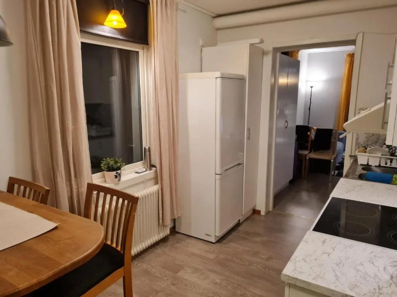 Mysig lägenhet med ett rum och kök 1103