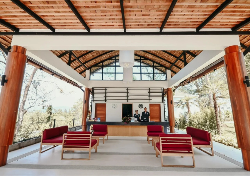 The Mangrove By Blu Monkey