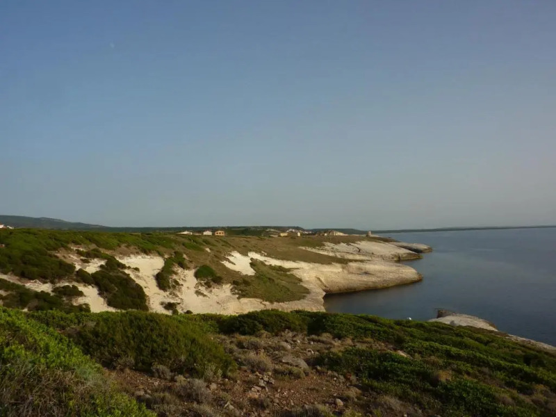 Appartamento del Cardellini