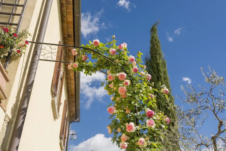 Bio Organic Twins Agritourism