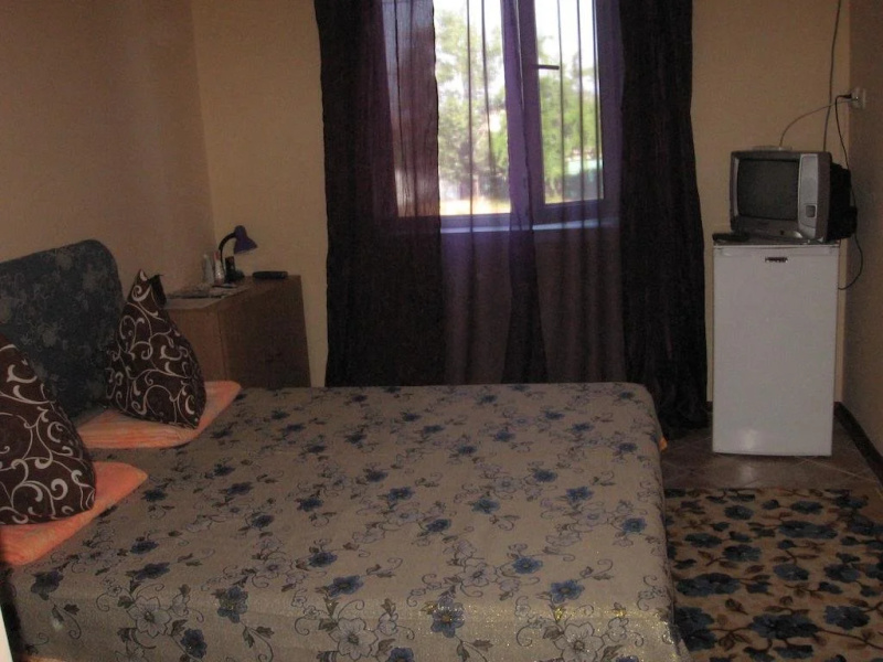 Hotel Lev