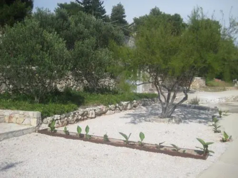 Apartments Pralija Mile