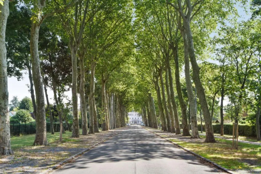 Quiet house with garden in Marcq-en-Baroeul 10 min from Lille - Welkeys