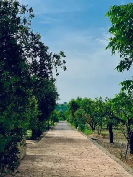 Il Giardino delle Zagare