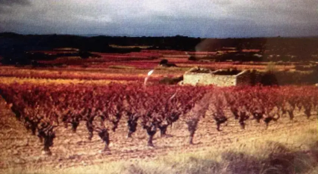 3 Grand Rue Ginestas