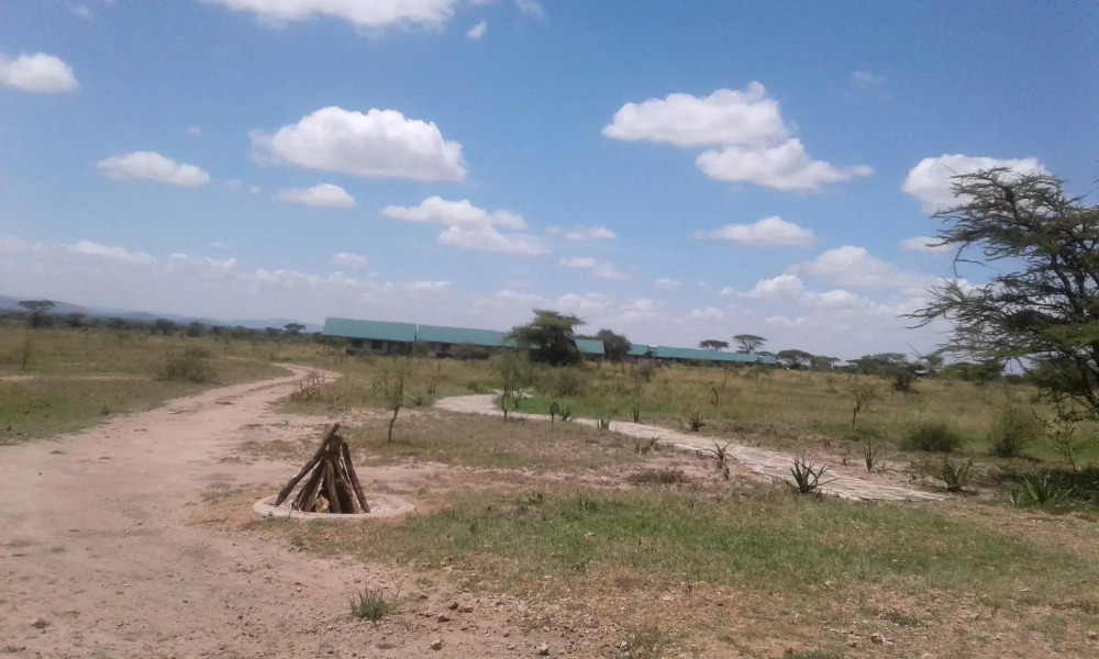 Zebra Kemang'ore Bush Tented Lodge