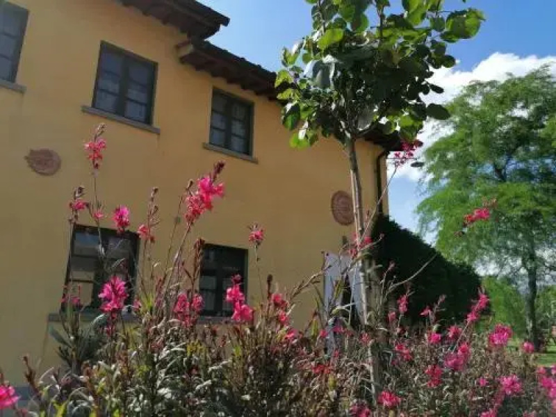 Podere Piandarca