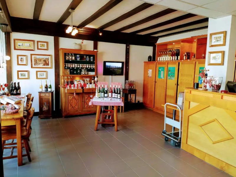 Alsace Appartements Meyer-Krumb