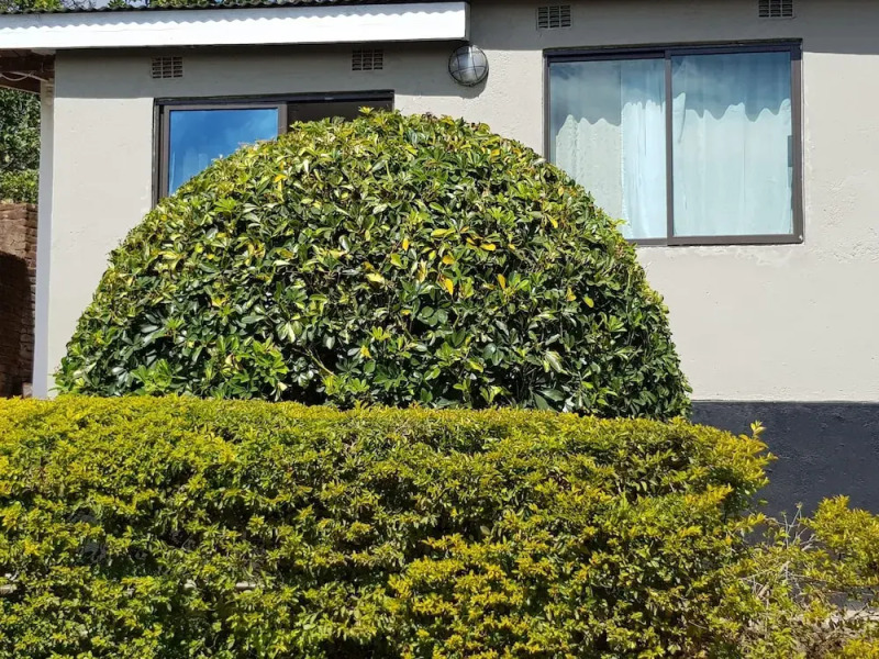 Chinyonga Guesthouse