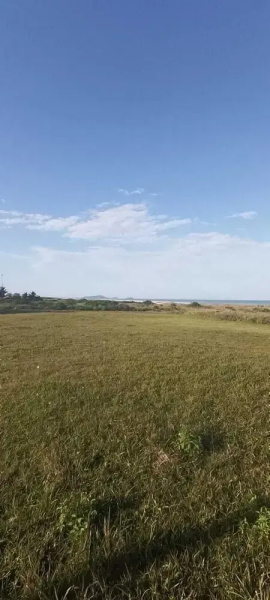 Paraíso do sul